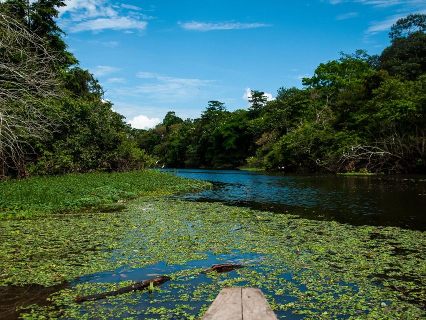 3-Day All Inclusive Guided Jungle Tour From Iquitos - Fishing and Jungle Hike