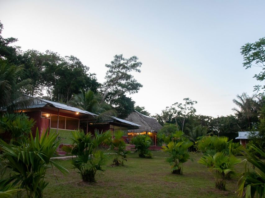 3-Day All Inclusive Guided Jungle Tour From Iquitos - Dolphin Watching and Night Caiman Excursion