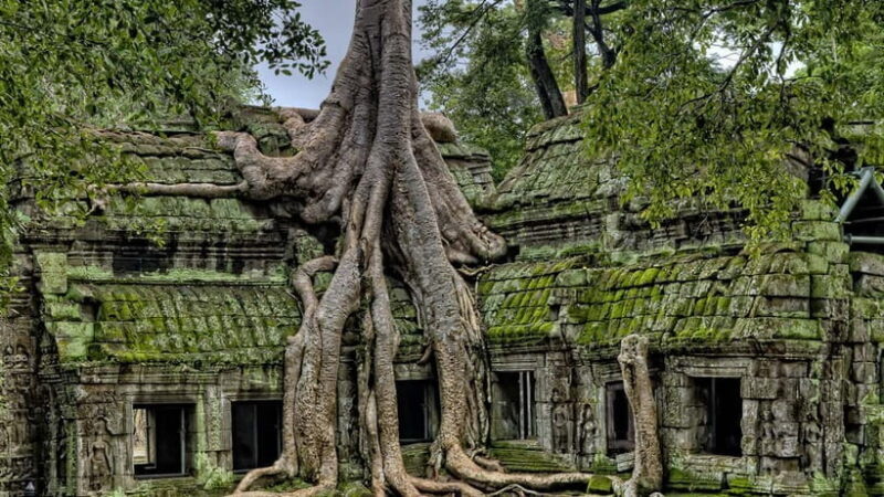 3-Day Angkor Wat & All Major Temples & Kulen Mount Waterfall - The Sum Up