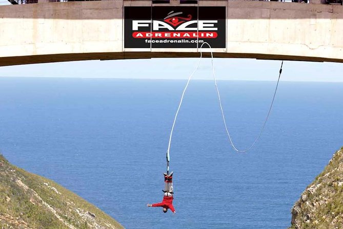 3 Day Big 5 and Bungee Tour - Garden Route Small Group Tour From Cape Town - Good To Know