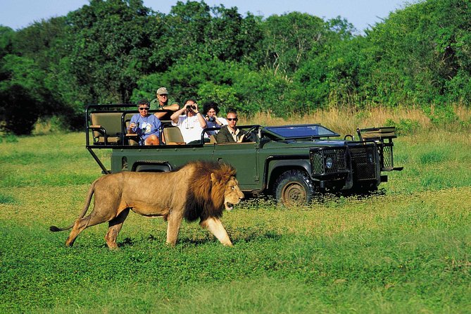 3 Day Big 5 and Bungee Tour - Garden Route Small Group Tour From Cape Town - Safari Experience