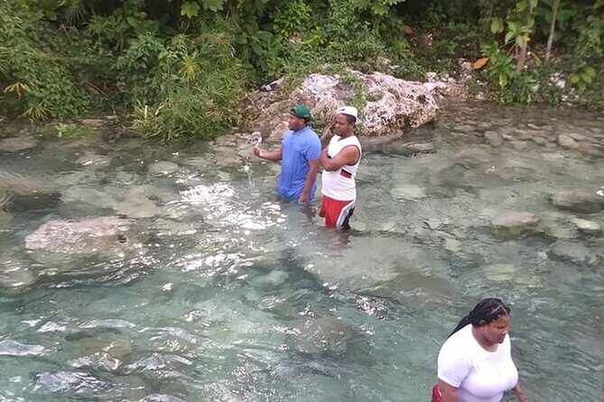 3-Day Bird Watching Tour in the Sierra de Bahoruco - Final Words
