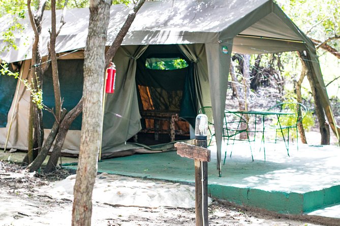 3 Day Budget Tent Kruger National Park Safari - What to Expect