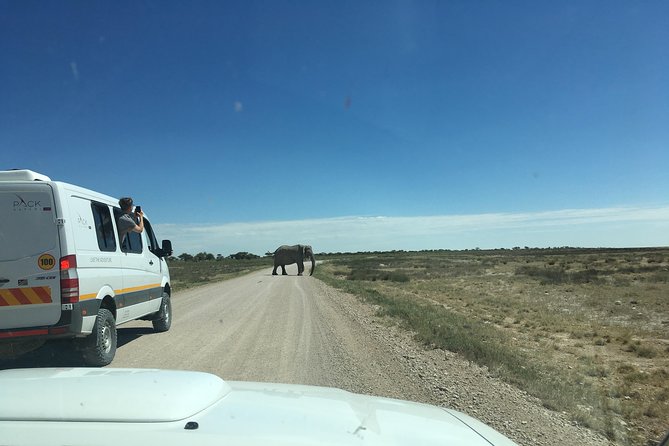 3 Day Camping Tour at Etosha National Park - Meeting and Pickup Details