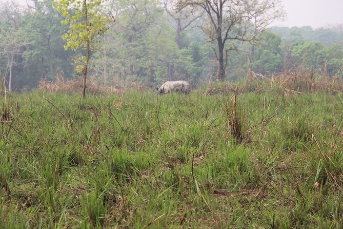 3-Day Chitwan National Park Jungle Safari Tour Package With Pick up - Accessibility and Additional Details