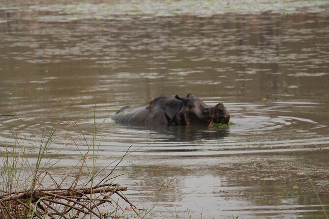 3-Day Chitwan National Park Jungle Safari Tour Package With Pick up - Highlights of Chitwan National Park