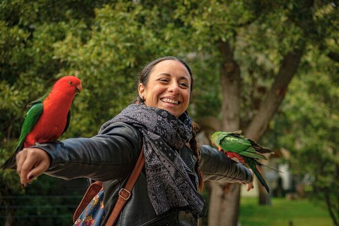 3 Day Combo: Great Ocean Road, Penguin Parade and FREE City Tour - Final Thoughts