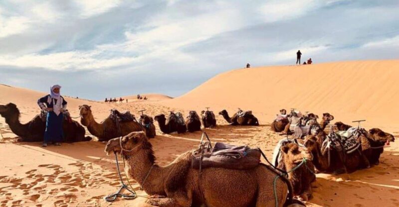 3-Day Desert Excursion From Tangier - Itinerary Highlights