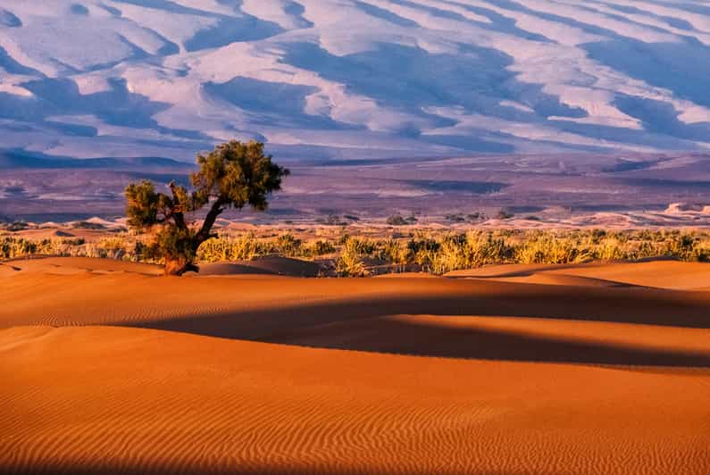 3-Day Desert Safari to Merzouga - Good To Know