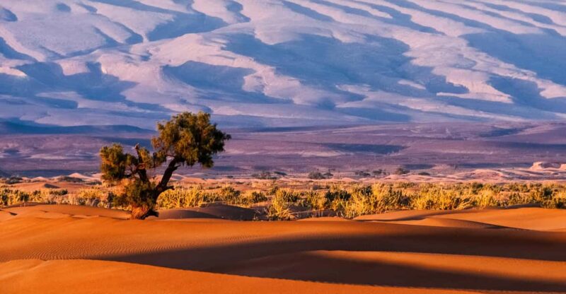 3-Day Desert Safari to Merzouga - Itinerary Highlights