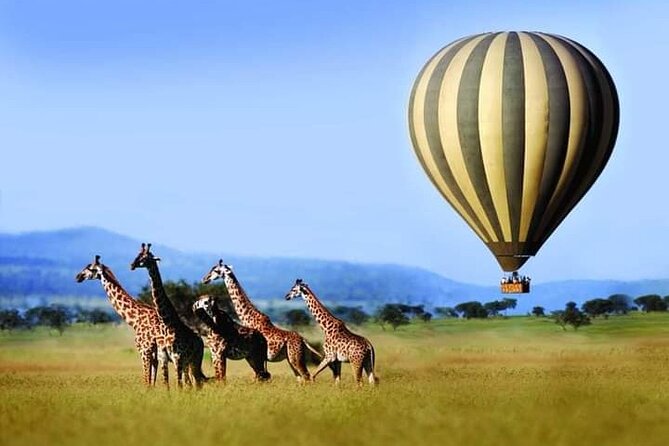 3 Day Essential 4x4 Safari: Manyara, Tarangire & Ngorongoro - Local Guides and Expertise
