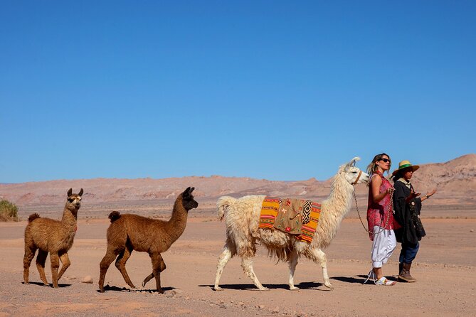 3-Day Exploring San Pedro De Atacama - Trekking to Lagunas Miñiques and Miscanti