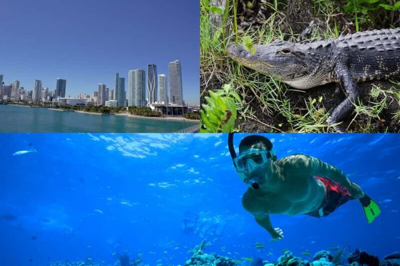 3-Day Florida Getaway: Miami, Everglades & Key West Snorkel - Key Points