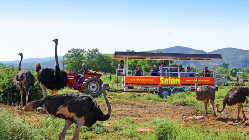 3 Day Garden Route All-Inclusive Private Tour From Cape Town - Good To Know