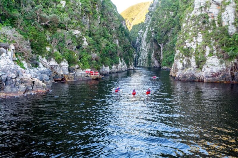 3 Day Garden Route All-Inclusive Private Tour From Cape Town - Itinerary Highlights