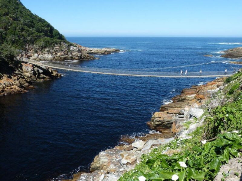 3 Day Garden Route All-Inclusive Private Tour From Cape Town - Day 2: Nature Exploration and Riverside Hike
