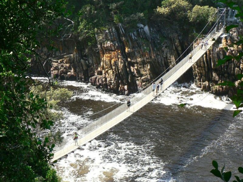 3 Day Garden Route All-Inclusive Private Tour From Cape Town - Day 3: Caving and Ostrich Encounter