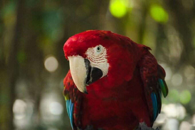 3 Day Garden Route All-Inclusive Private Tour From Cape Town - Important Information