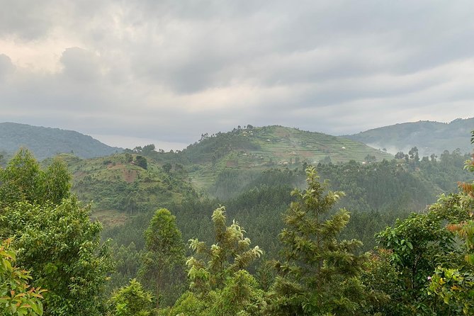 3 Day Gorilla Trek at Bwindi National Park via Kigali - Travel Requirements and Restrictions