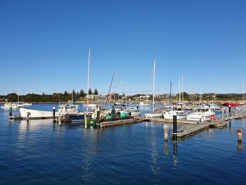3-Day Great Ocean Road and Grampians Small-Group Tour - Key Points