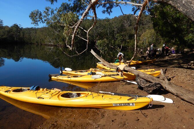 3 Day Guided Kayak Camping Adventure on the Clyde River - In The Sum Up: Who Will Love This?