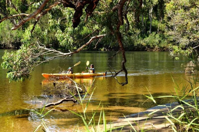 3 Day Guided Kayak Camping, Clyde River Batemans Bay - FAQ