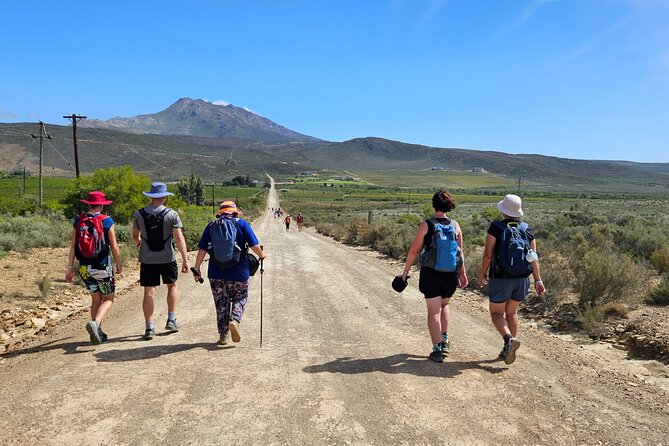 3 Day - Guided Private Wine Walk Trails and Fossil Hunt - Discovering Fossil Treasures