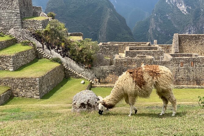 3-Day Inca Jungle Trek to Machu Picchu - Customer Reviews