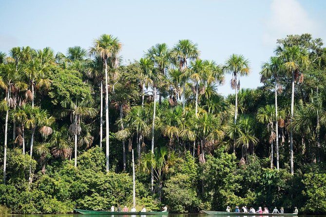 3 Day Iquitos Amazon Jungle Adventure at Ceiba Tops Lodge - Good To Know