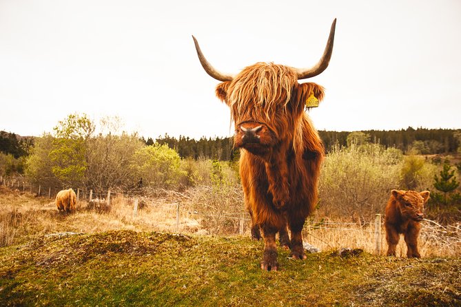 3-Day Isle of Skye and Scottish Highlands Small-Group Tour From Glasgow - Visiting Iconic Landmarks