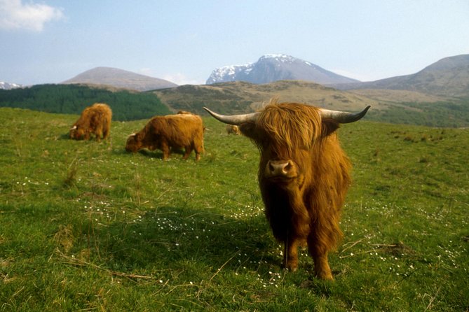 3-Day Isle of Skye, Hogwarts Express Train and Highlands Tour - Directions