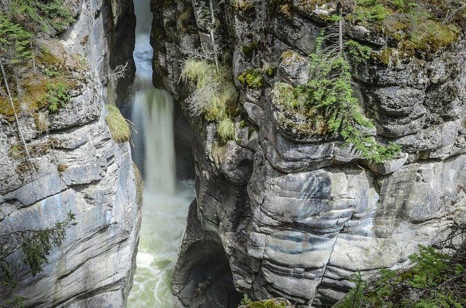 3-Day Jasper and Icefield Tour from Calgary - Who Will Love This Experience?