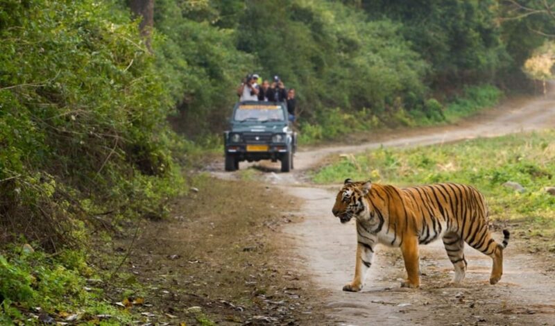 3-Day Jim Corbett National Park Tour - Good To Know