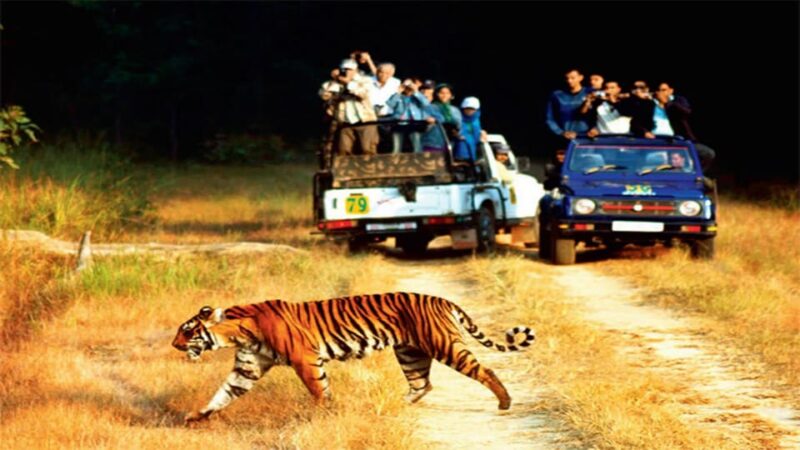 3-Day Jim Corbett National Park Tour - Itinerary Highlights