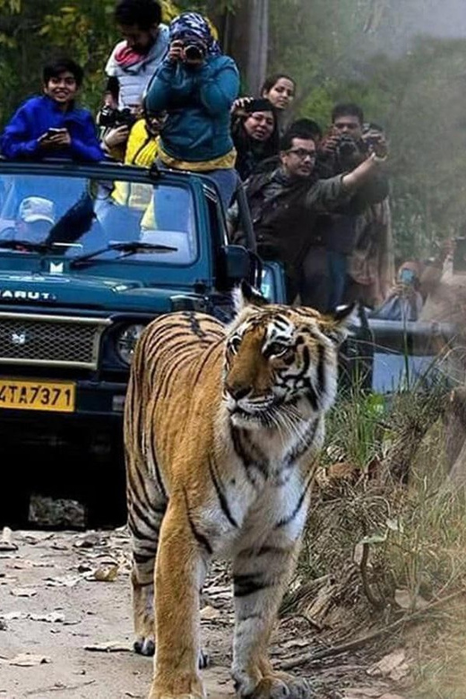 3-Day Jim Corbett National Park Tour - Languages and Accessibility