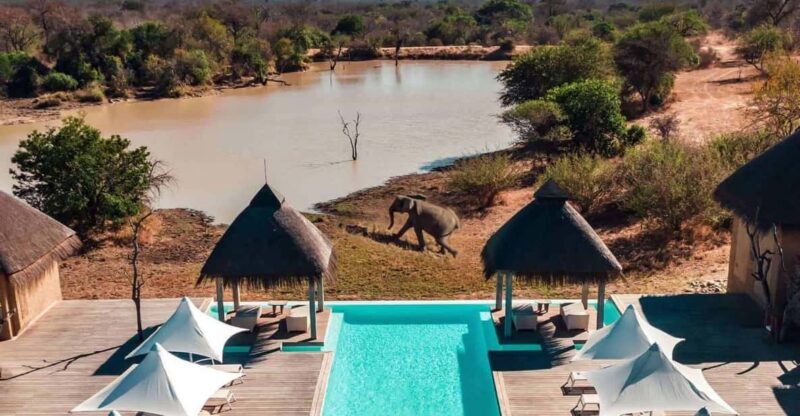 3 Day Kapama Safari From Johannesburg - Good To Know