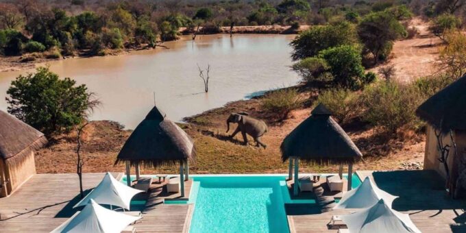 3 Day Kapama Safari From Johannesburg - Wildlife and Guided Safaris