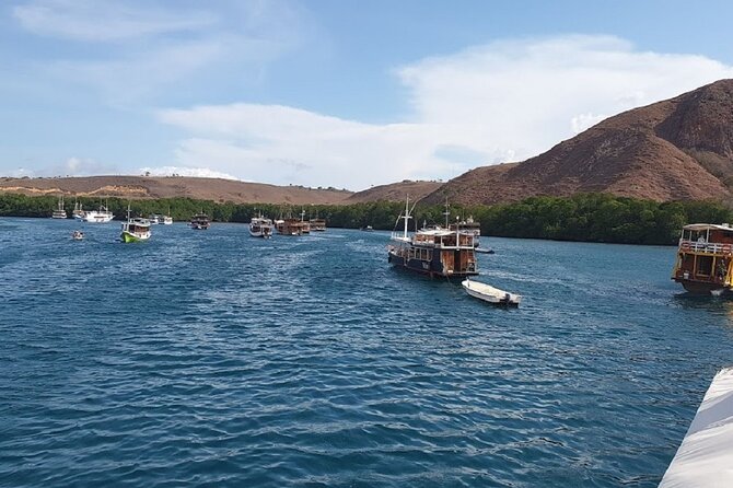 3-Day Komodo Island Tour With or Without Roundtrip Flight From Bali - Tour Group Size