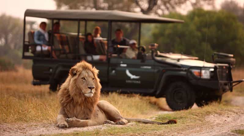 3 Day Kruger National Park Private Safari From Johannesburg - Good To Know