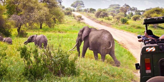 3 Day Kruger National Park Private Safari From Johannesburg - Frequently Asked Questions