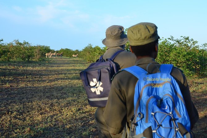 3 Day Luxury Tented Kruger Safari From Johannesburg - Pricing and Booking Details