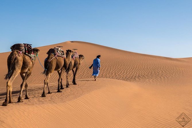 3 Day Luxury Tour: Sahara Desert & Luxury Camp From Marrakech - Day 3: Return to Marrakech