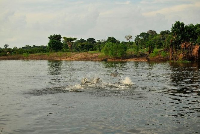 3-Day Manaus Amazon Jungle Adventure - Outdoor Activities and Wildlife