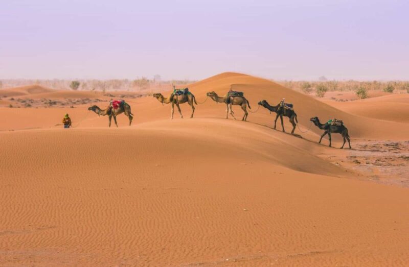 3-Day Marrakech Desert Tour To Erg Chigaga Dunes - Marrakech to Zagora
