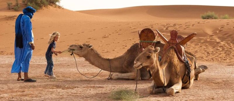 3-Day Marrakech Desert Tour To Erg Chigaga Dunes - Discovering Draa Valley