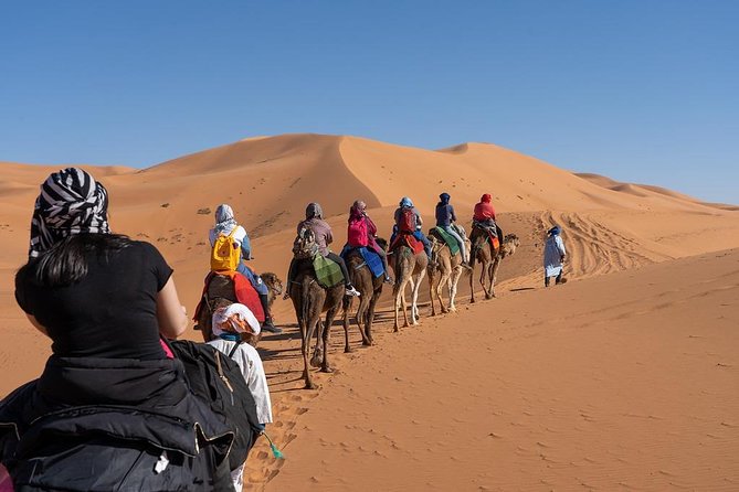 3 Day Marrakech to Fes Desert Tour - Camel Trek - Day 1: Marrakech to Desert