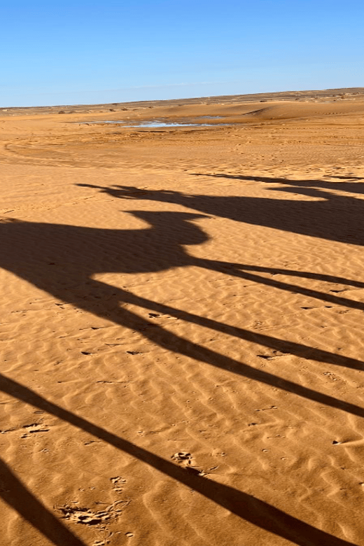 3 Day Merzouga and Sahara Desert Tour - Dades Valley to Todra Gorges