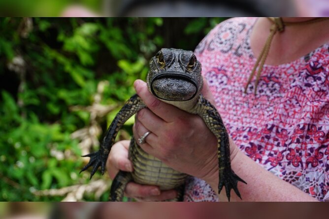 3-Day Miami Beach With Miami Bus/Boat Tour, Everglades and Keywest Boat Tour - Questions About Your Stay