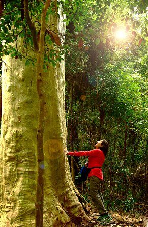 3 Day Murramarang Coast Journey from Batemans Bay with Meals and Villa Accom - The Best Fit for This Tour
