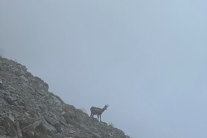 3-Day Olympus Hiking Adventure - Introduction: The Allure of Mount Olympus